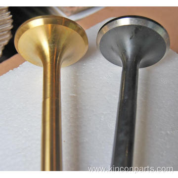 Engine Valves 160A